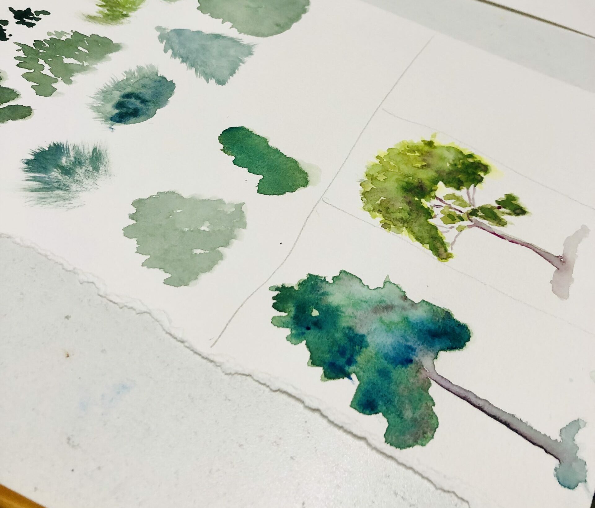 Cours aquarelle : peindre les arbres