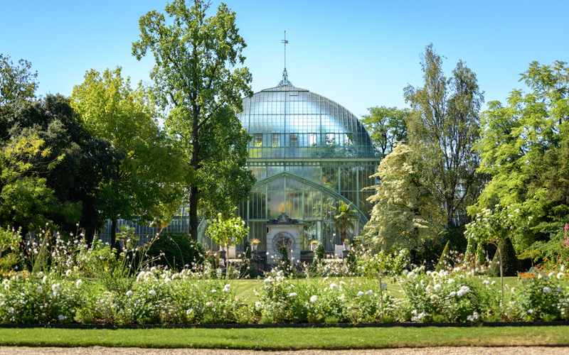 Jardin Graphique – Exotique!